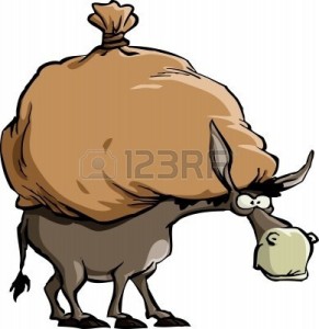 8464355-the-donkey-carries-a-large-bag